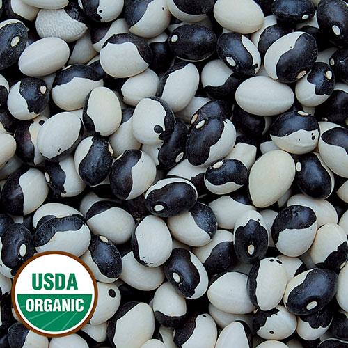 Bean, Calypso (Orca) - Cultural Seeds