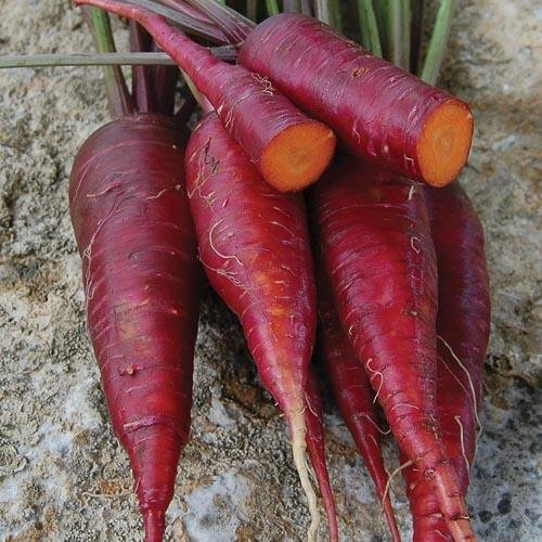 Carrot, Dragon - Cultural Seeds
