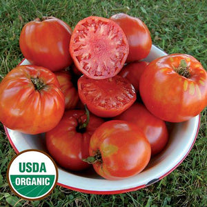 Tomato, Italian Heirloom - Cultural Seeds